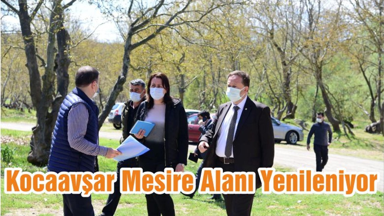 Kocaavşar Mesire Alanı Yenileniyor