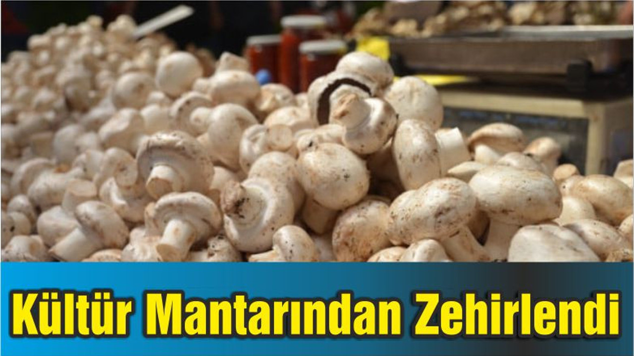 Kültür Mantarından Zehirlendi