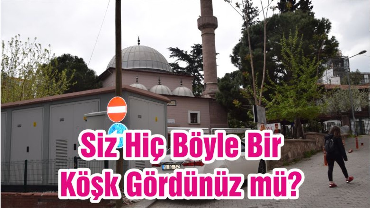 Siz Hiç Böyle Bir Köşk Gördünüz mü?