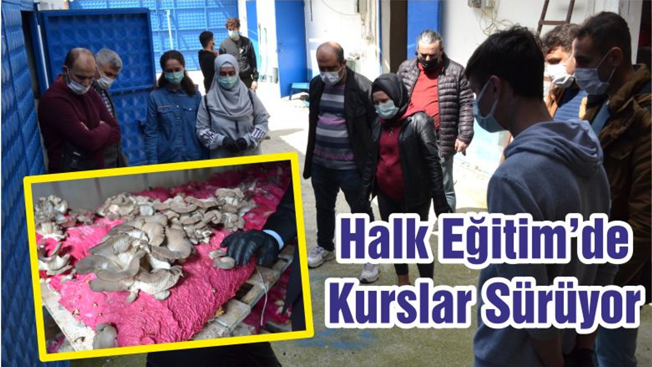 Halk Eğitim’de Kurslar Sürüyor