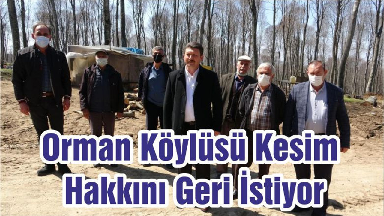Orman Köylüsü Kesim Hakkını Geri İstiyor