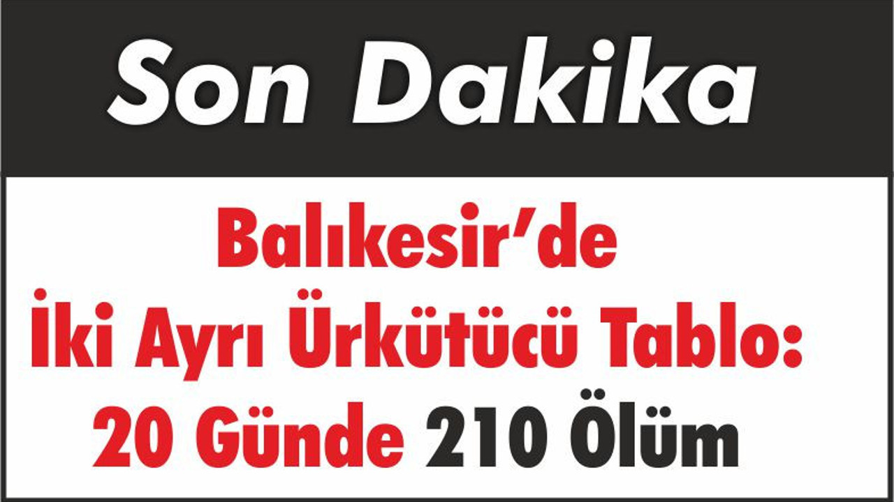Balıkesir’de İki Ayrı Ürkütücü Tablo: 20 Günde 210 Ölüm