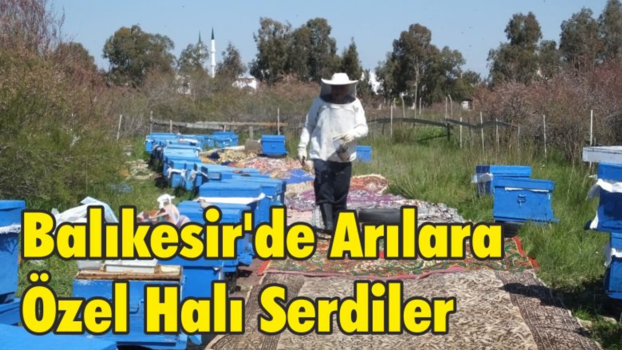 Balıkesir'de Arılara Özel Halı Serdiler