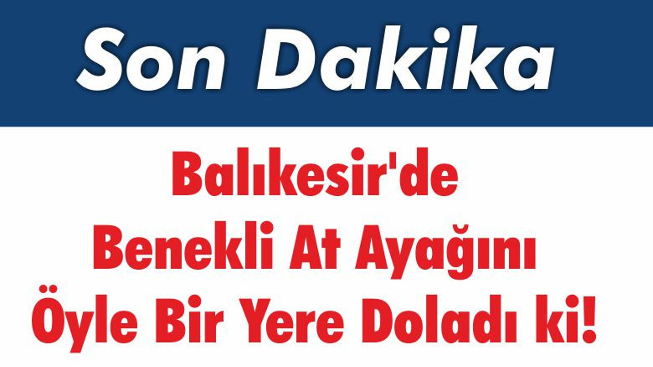 Balıkesir'de Benekli At Ayağını Öyle Bir Yere Doladı ki!