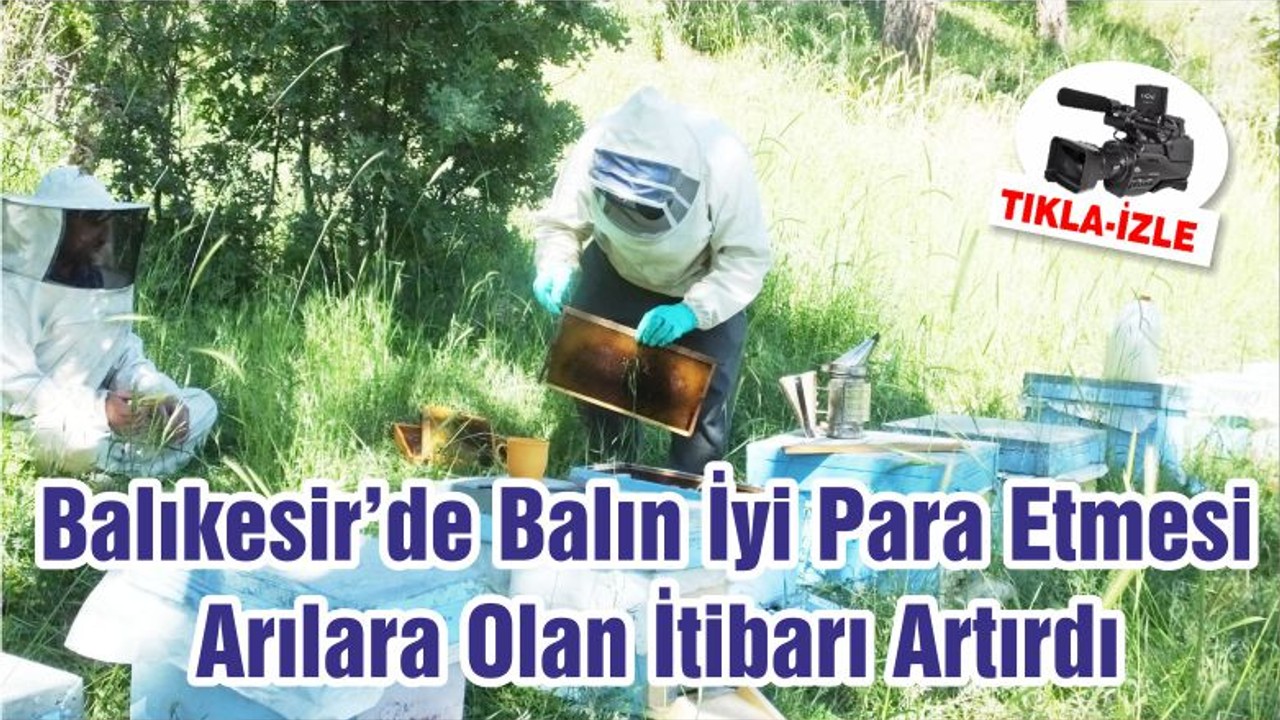 Balıkesir’de Balın İyi Para Etmesi Arılara Olan İtibarı Artırdı