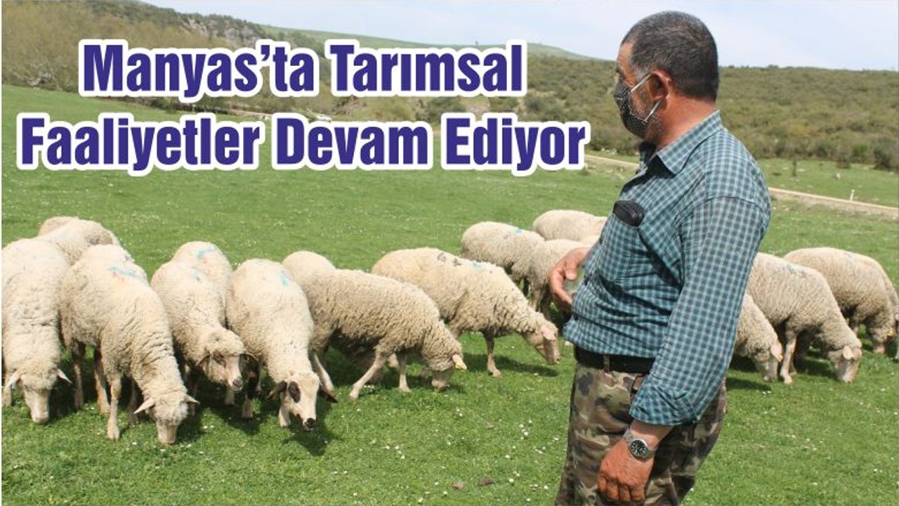 Manyas’ta Tarımsal Faaliyetler Devam Ediyor