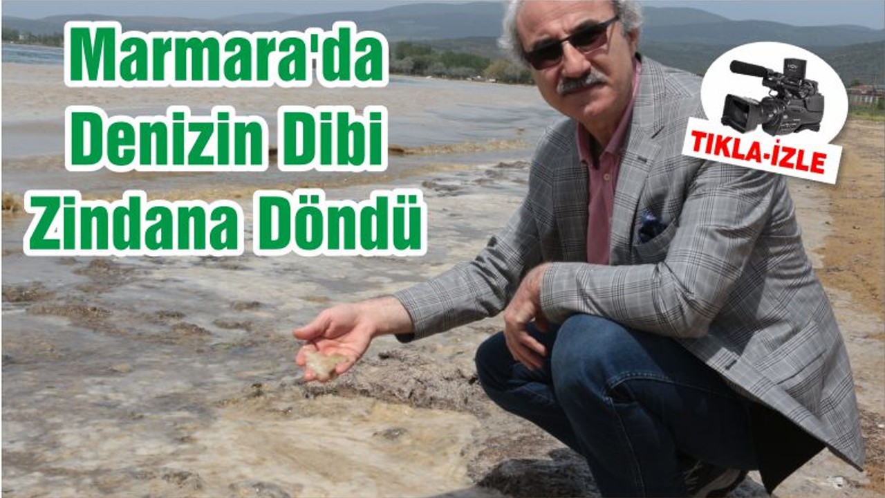 Marmara'da Denizin Dibi Zindana Döndü