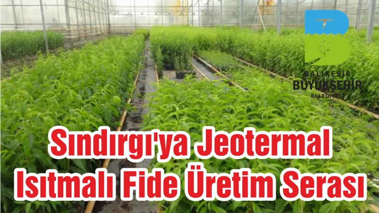 Sındırgı'ya Jeotermal Isıtmalı Fide Üretim Serası