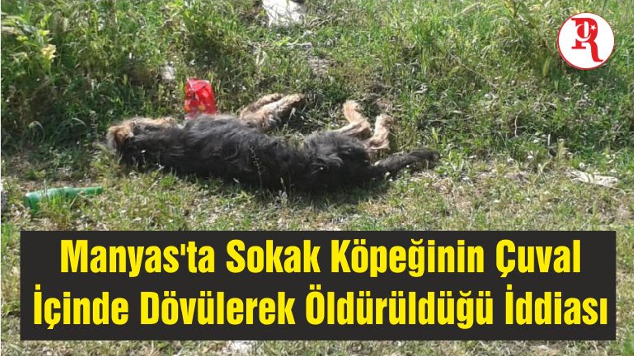 Manyas'ta Sokak Köpeğinin Çuval İçinde Dövülerek Öldürüldüğü İddiası