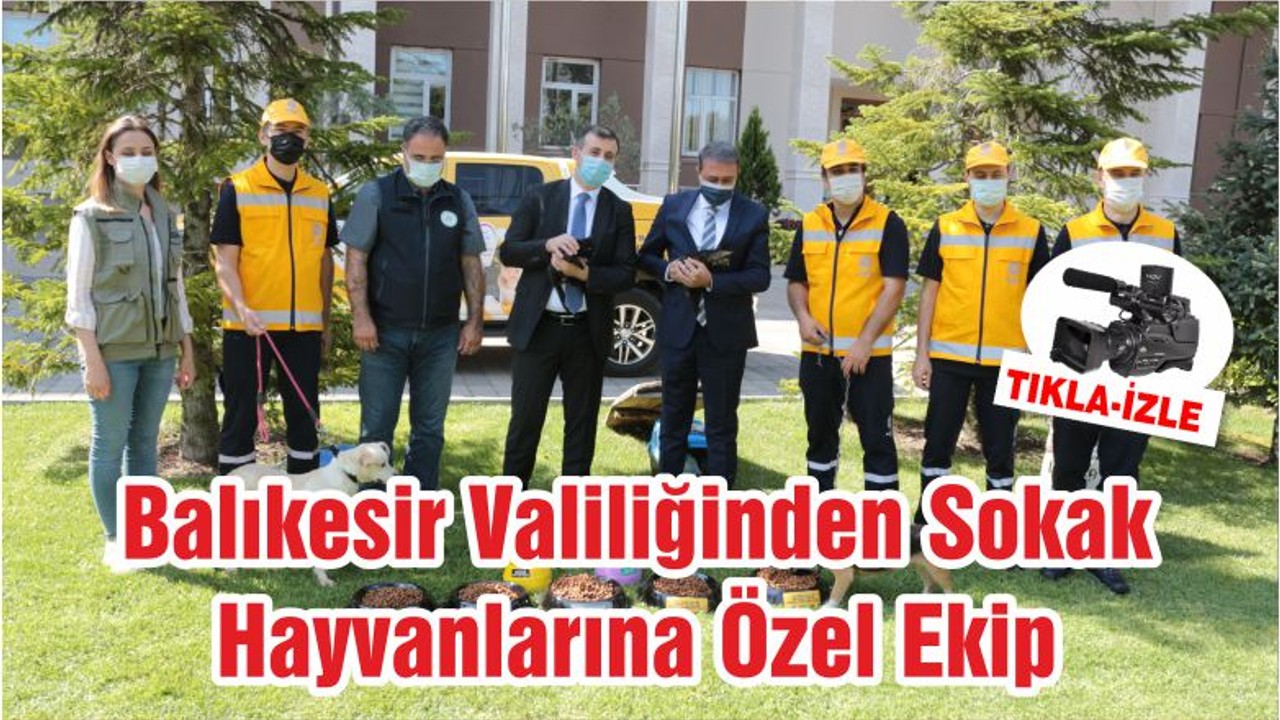 Balıkesir Valiliğinden Sokak Hayvanlarına Özel Ekip