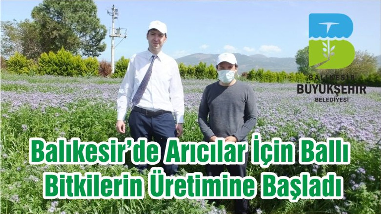 Balıkesir’de Arıcılar İçin Ballı Bitkilerin Üretimine Başladı