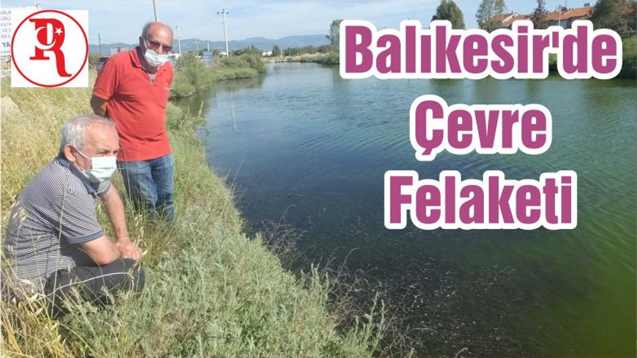Balıkesir'de Çevre Felaketi