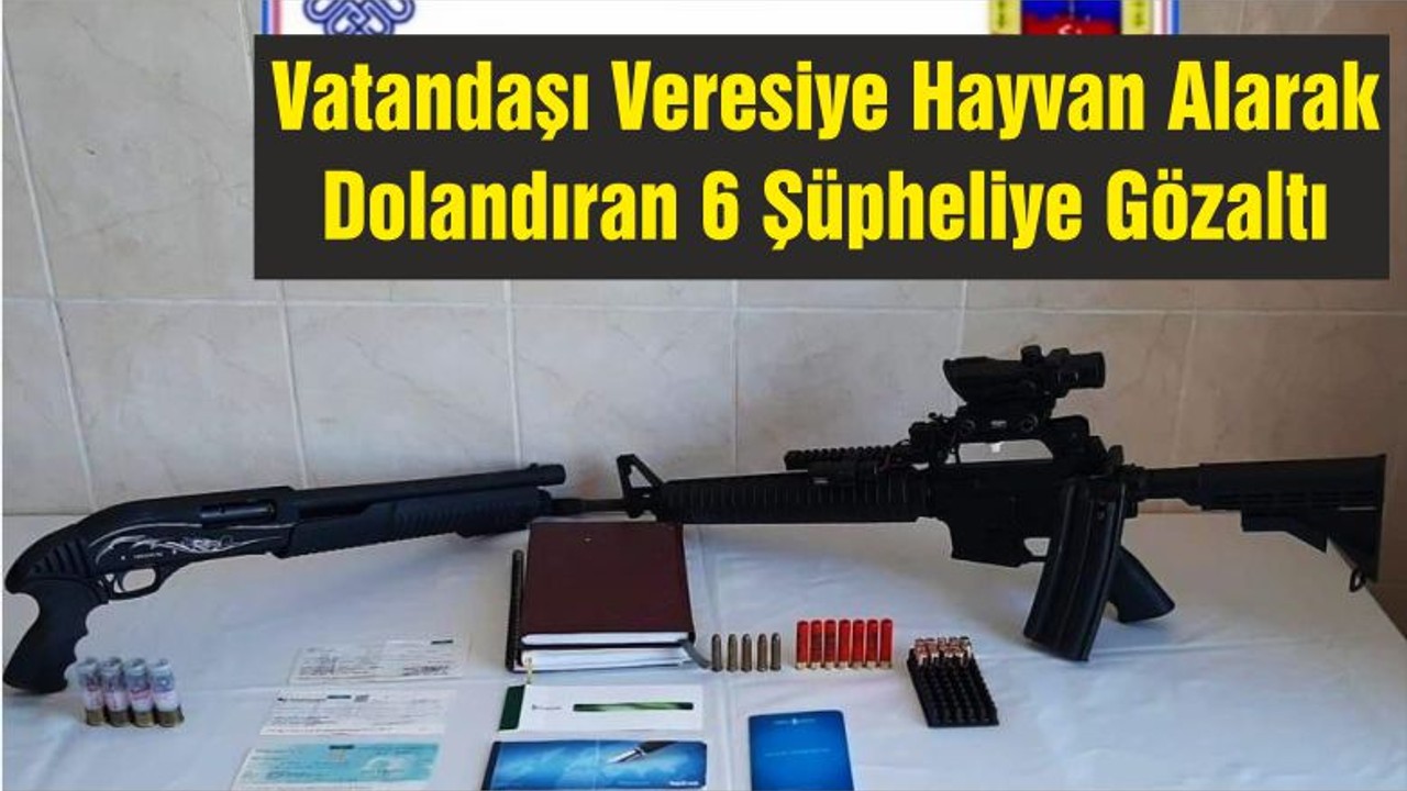 Vatandaşı Veresiye Hayvan Alarak Dolandıran 6 Şüpheliye Gözaltı