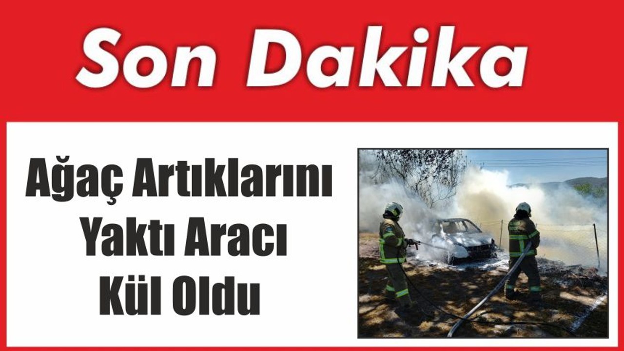 Balıkesir'de Ağaç Artıklarını Yaktı Aracı Kül Oldu