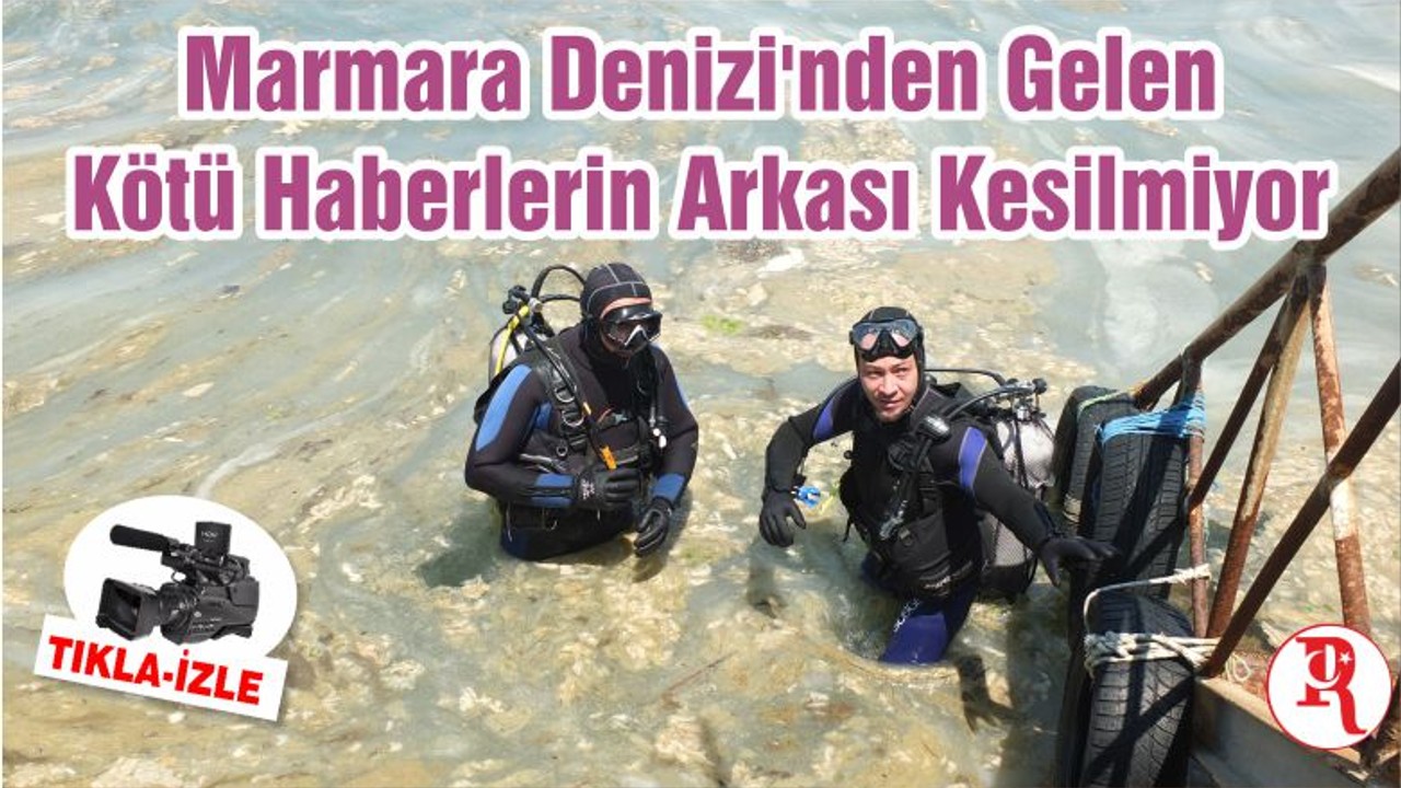 Marmara Denizi'nden Gelen Kötü Haberlerin Arkası Kesilmiyor