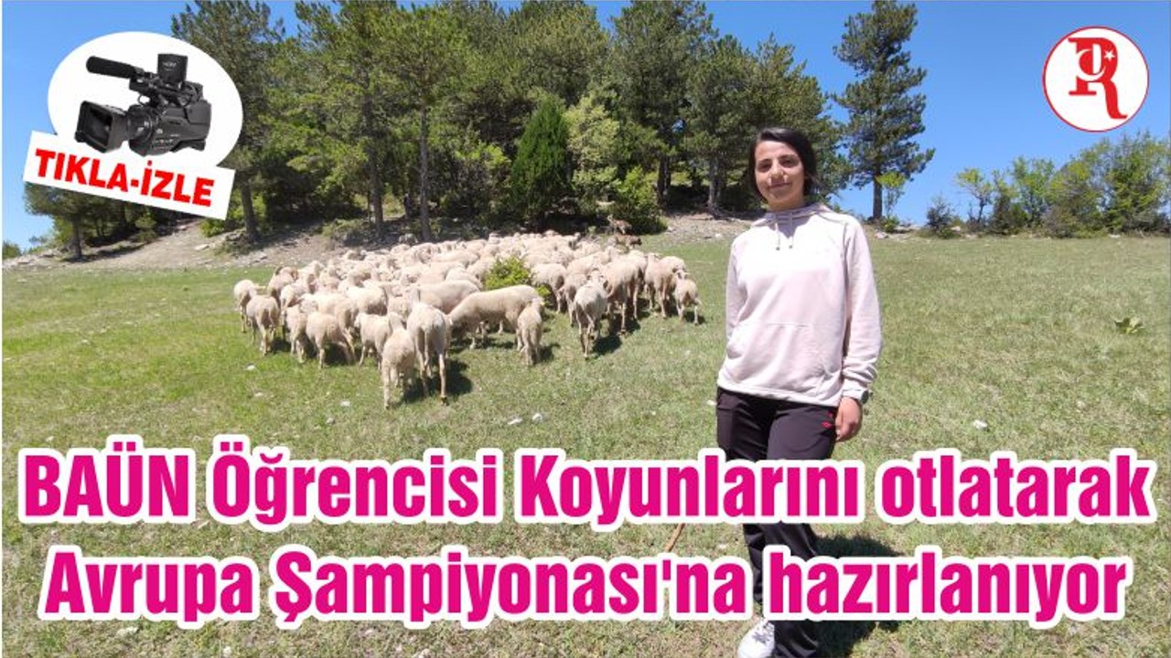 BAÜN Öğrencisi Koyunlarını otlatarak Avrupa Şampiyonası'na hazırlanıyor
