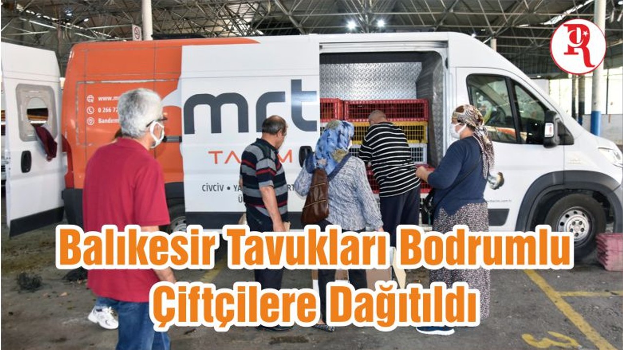 Balıkesir Tavukları Bodrumlu Çiftçilere Dağıtıldı
