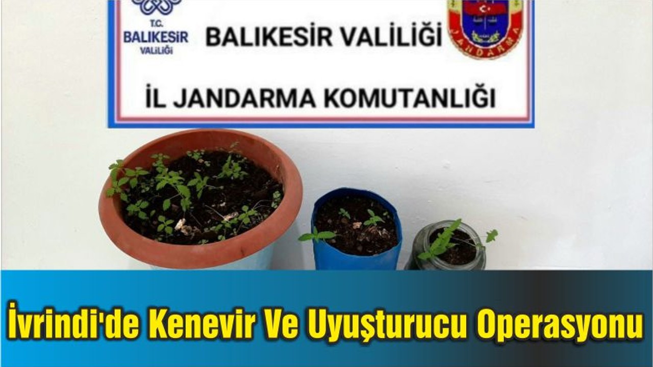 İvrindi'de Kenevir Ve Uyuşturucu Operasyonu