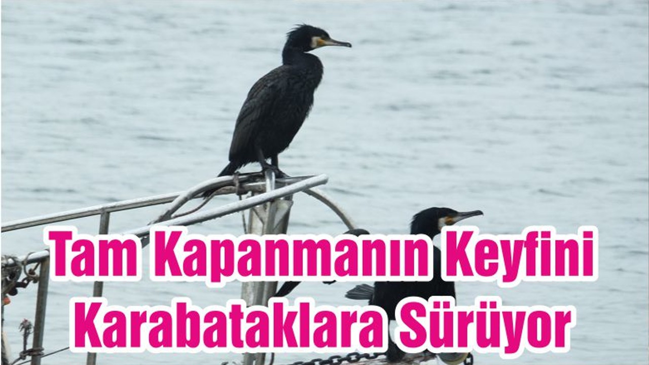Tam Kapanmanın Keyfini Karabataklara Sürüyor
