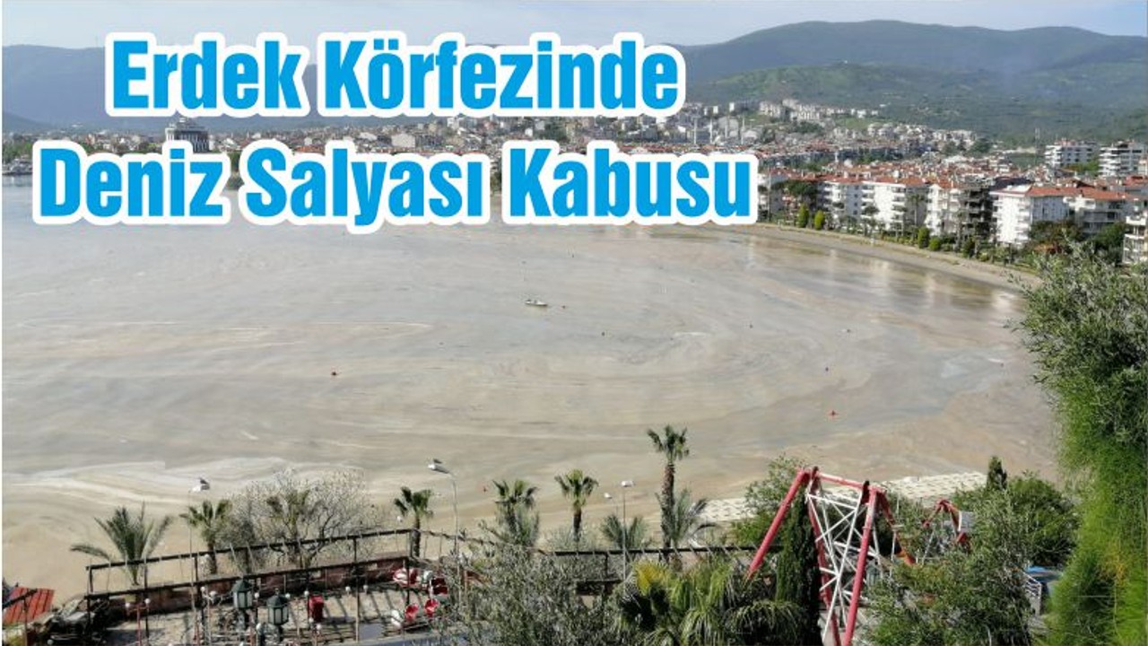 Erdek Körfezinde Deniz Salyası Kabusu