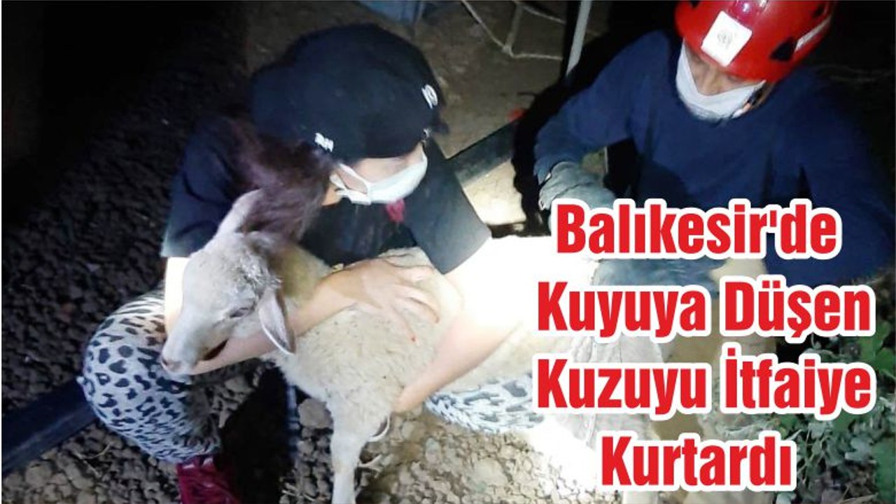 Balıkesir'de Kuyuya Düşen Kuzuyu İtfaiye Kurtardı
