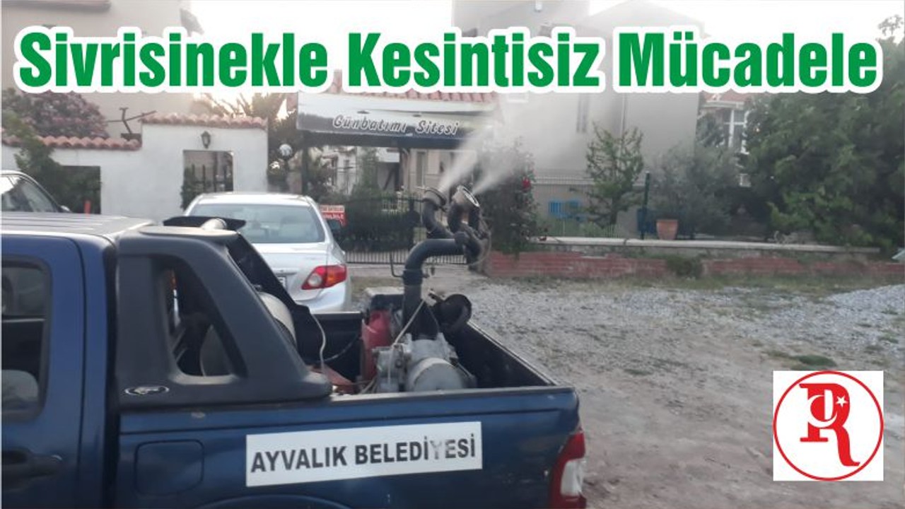 Sivrisinekle Kesintisiz Mücadele