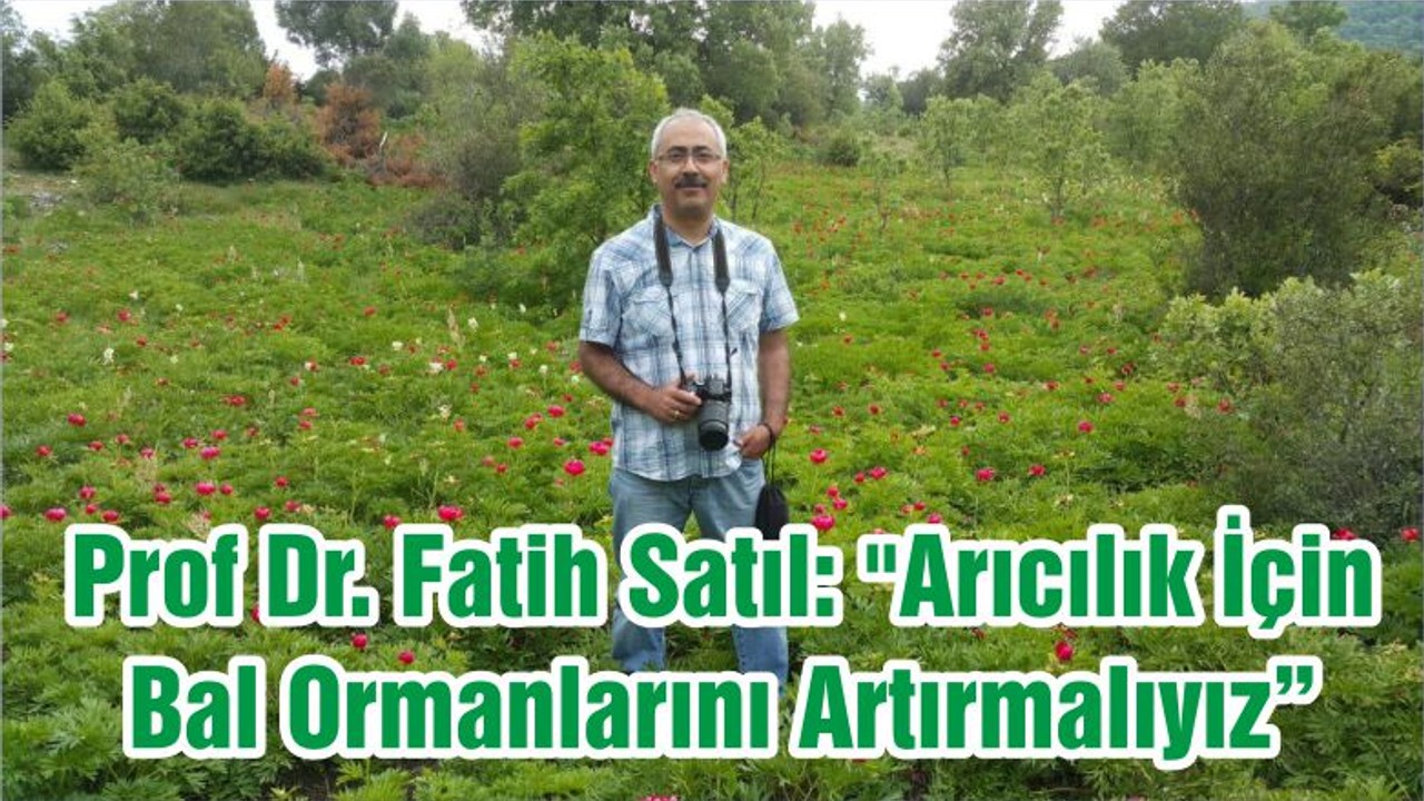 Prof Dr. Fatih Satıl: "Arıcılık İçin Bal Ormanlarını Artırmalıyız"