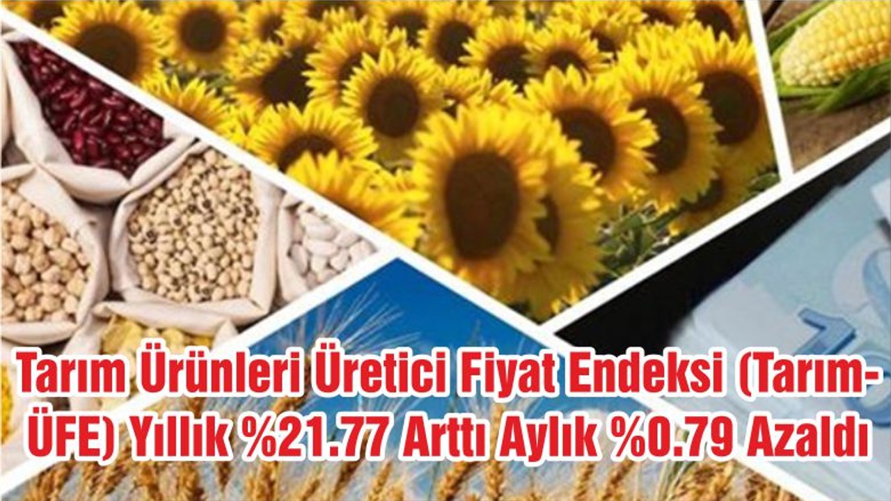 Tarım Ürünleri Üretici Fiyat Endeksi (Tarım-ÜFE) Yıllık %21.77 Arttı Aylık %0.79 Azaldı