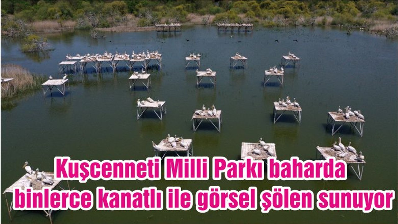 Kuşcenneti Milli Parkı baharda binlerce kanatlı ile görsel şölen sunuyor