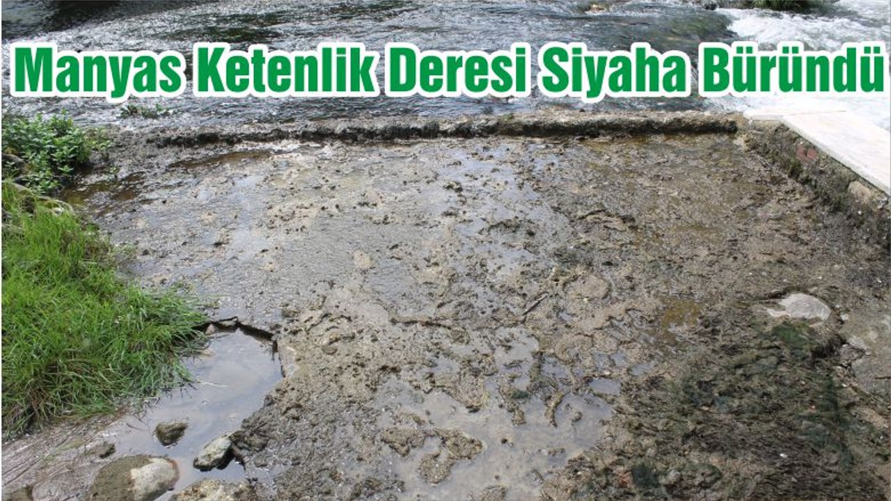 Manyas Ketenlik Deresi Siyaha Büründü