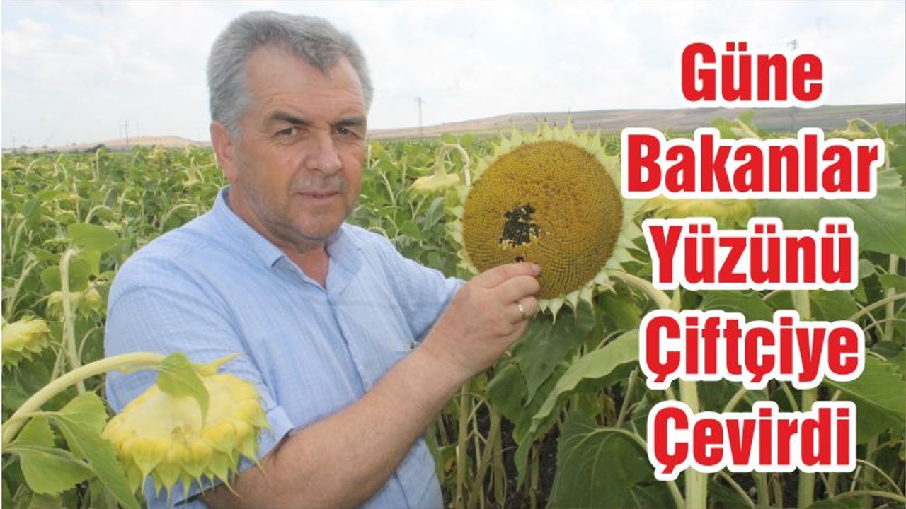 Güne Bakanlar Yüzünü Çiftçiye Çevirdi