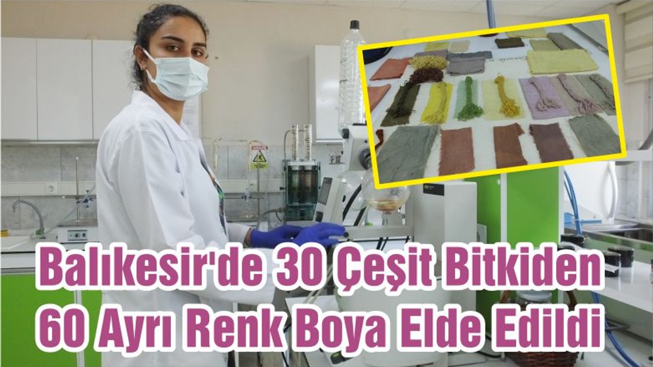 Balıkesir'de 30 Çeşit Bitkiden 60 Ayrı Renk Boya Elde Edildi