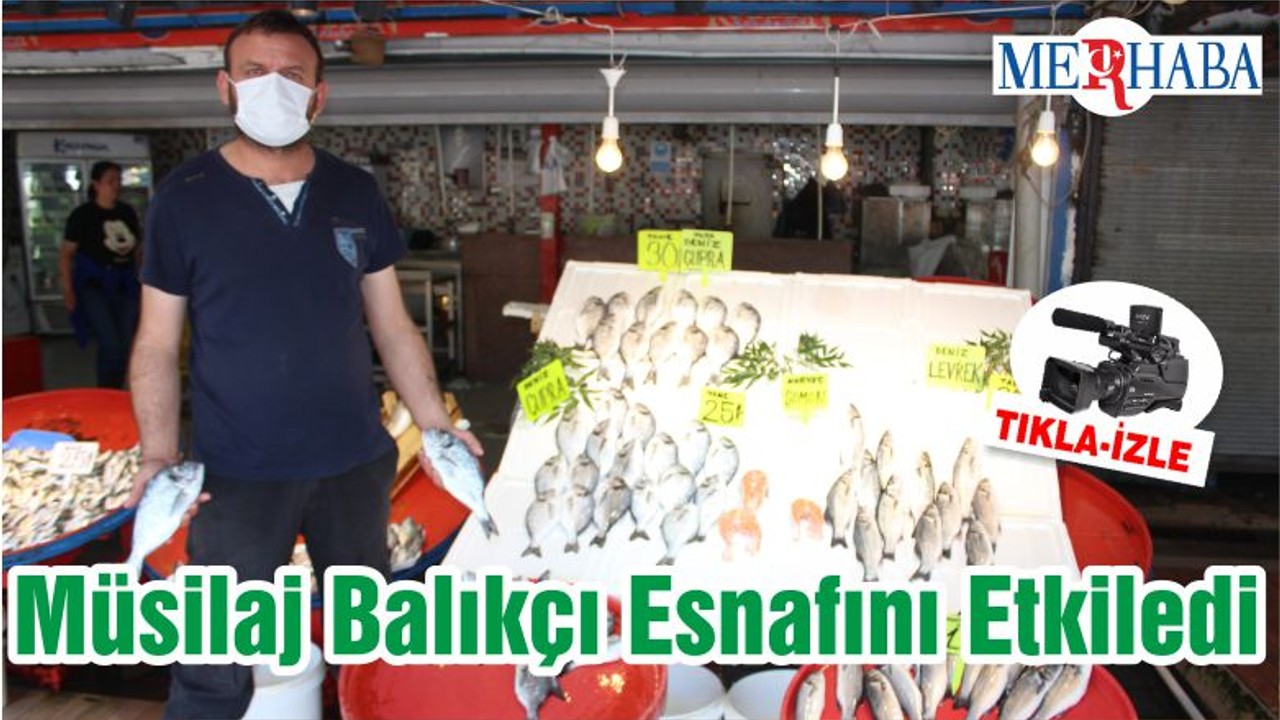 Müsilaj Balıkesir'de Balıkçı Esnafını Etkiledi