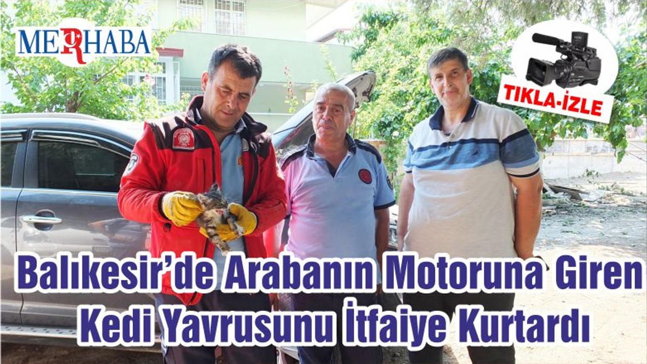 Balıkesir’de Arabanın Motoruna Giren Kedi Yavrusunu İtfaiye Kurtardı