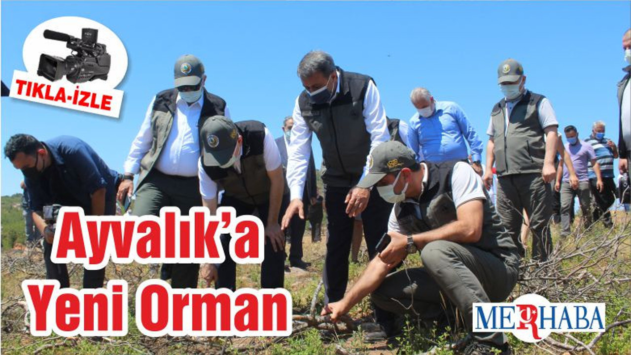 Ayvalık’a Yeni Orman
