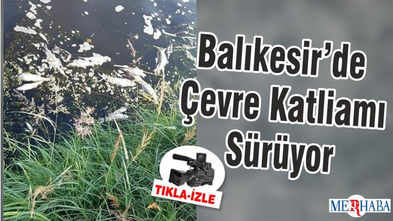 Balıkesir’de Çevre Katliamı Sürüyor
