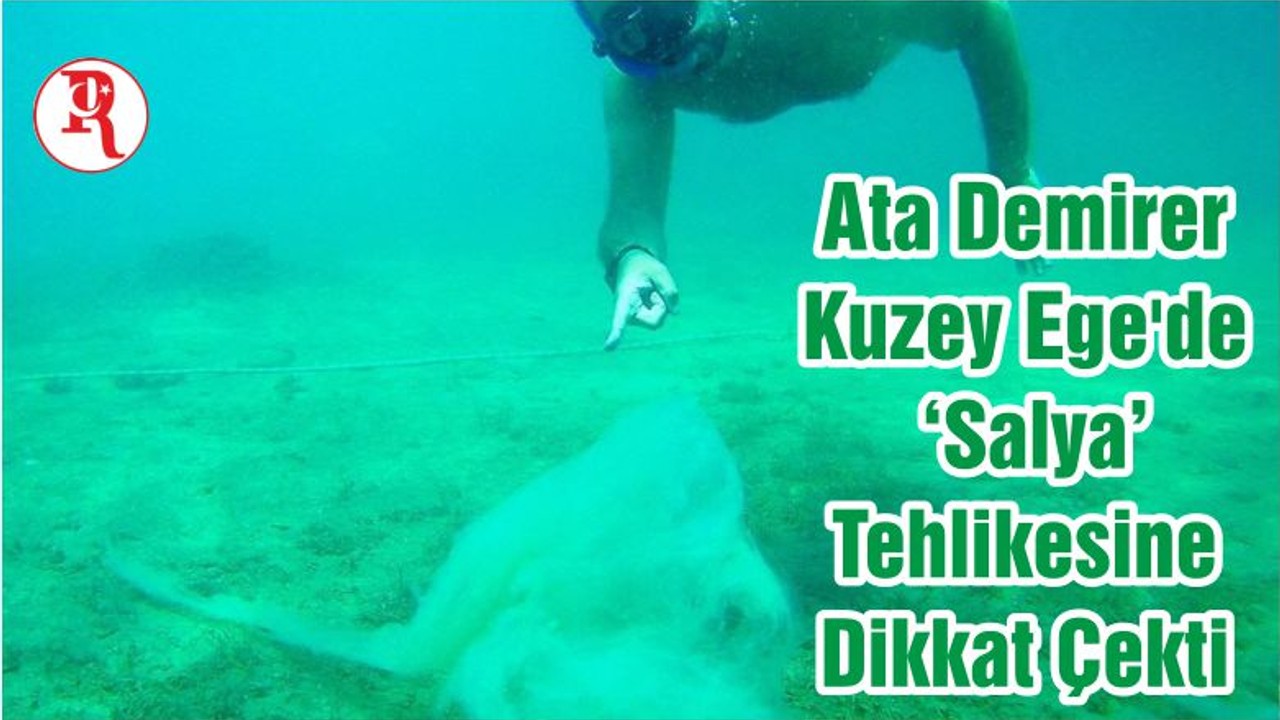 Ata Demirer Kuzey Ege'de ‘Salya’ Tehlikesine Dikkat Çekti