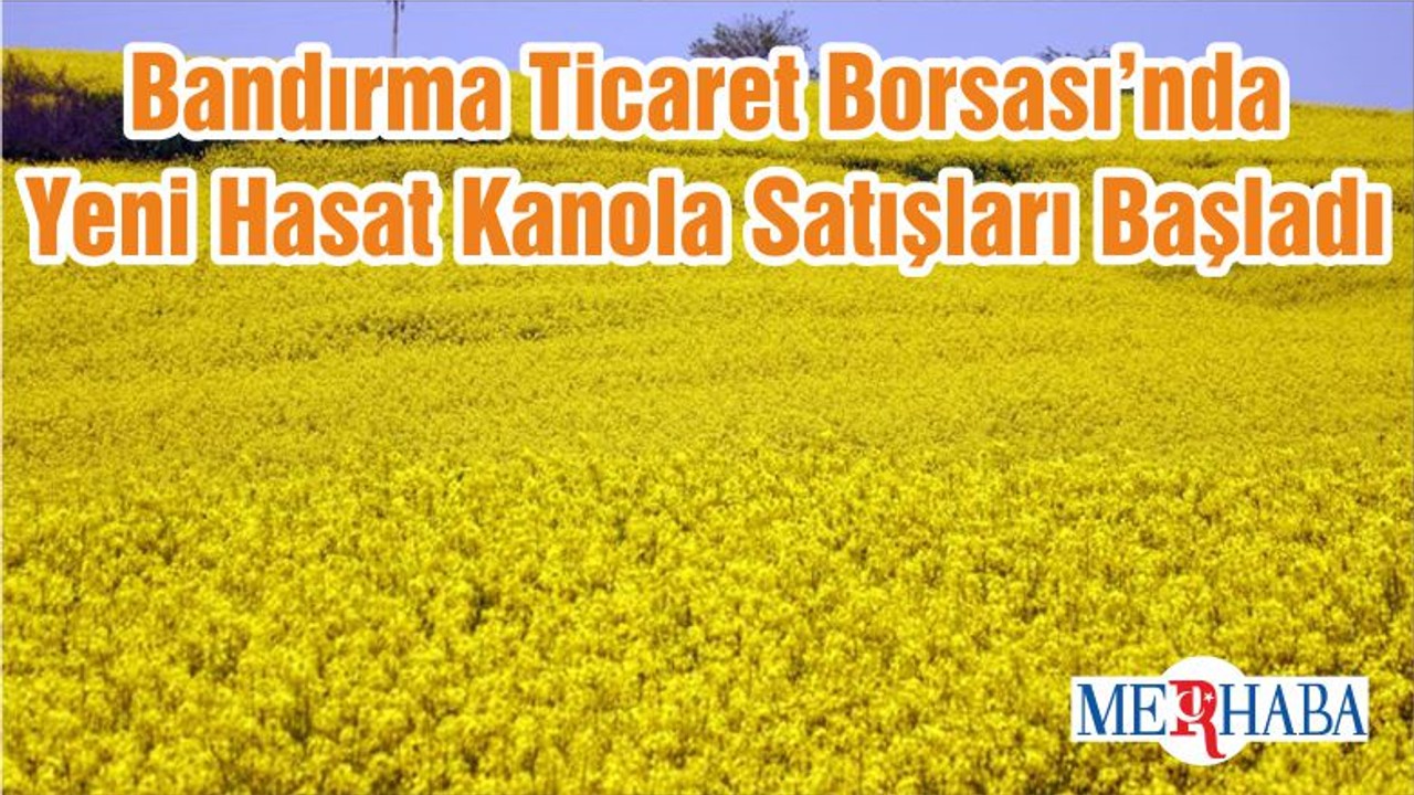 Bandırma Ticaret Borsası’nda Yeni Hasat Kanola Satışları Başladı