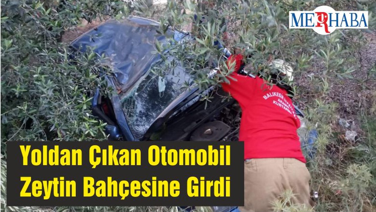 Yoldan Çıkan Otomobil Zeytin Bahçesine Girdi