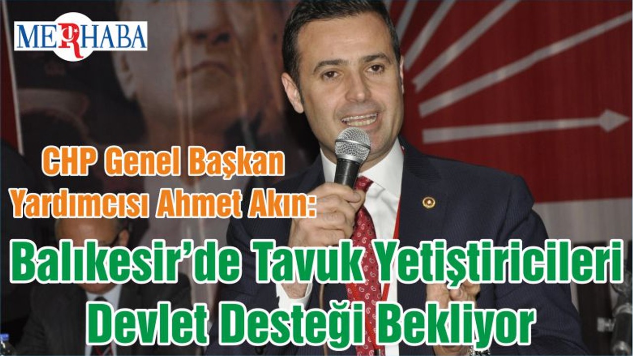 CHP Genel Başkan Yardımcısı Ahmet Akın: Balıkesir’de Tavuk Yetiştiricileri Devlet Desteği Bekliyor