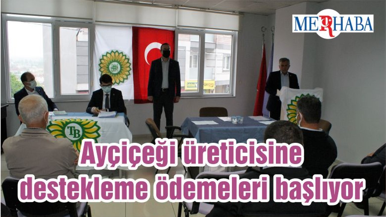 Ayçiçeği üreticisine destekleme ödemeleri başlıyor