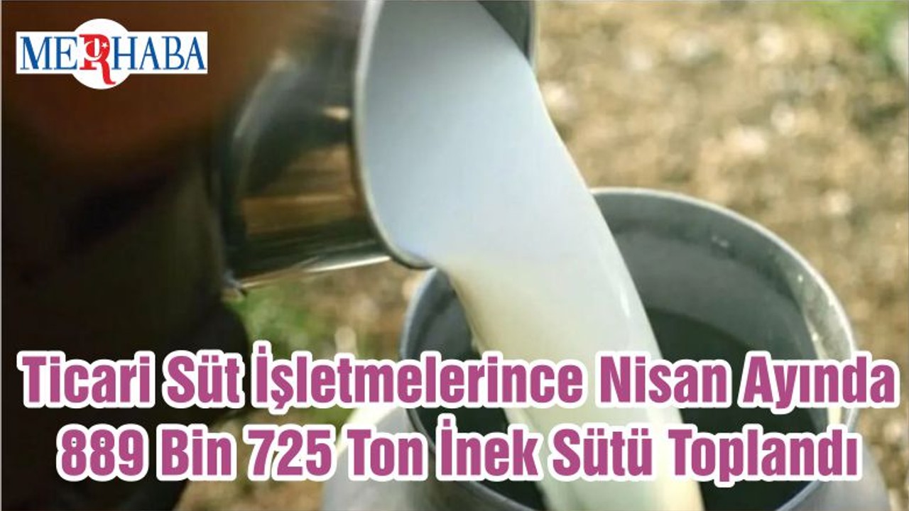 Ticari Süt İşletmelerince Nisan Ayında 889 Bin 725 Ton İnek Sütü Toplandı