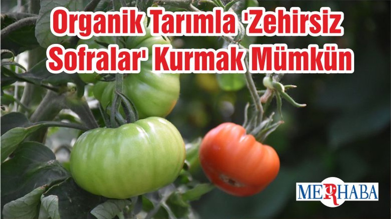 Organik Tarımla 'Zehirsiz Sofralar' Kurmak Mümkün
