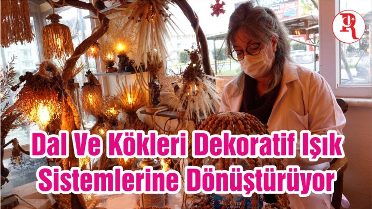 Dal Ve Kökleri Dekoratif Işık Sistemlerine Dönüştürüyor