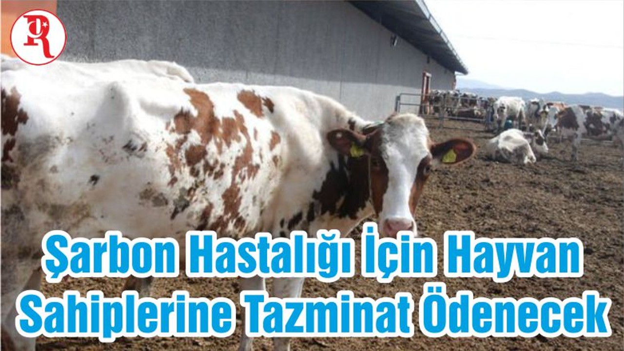 Şarbon Hastalığı İçin Hayvan Sahiplerine Tazminat Ödenecek
