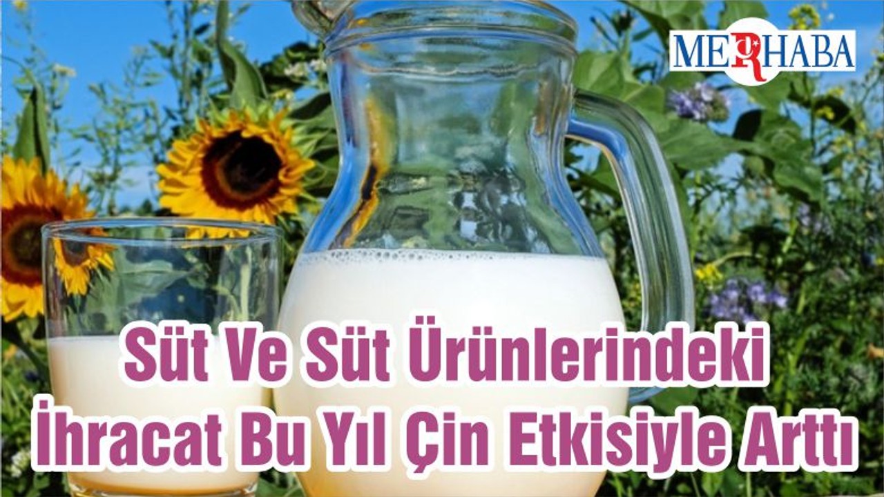 Süt Ve Süt Ürünlerindeki İhracat Bu Yıl Çin Etkisiyle Arttı