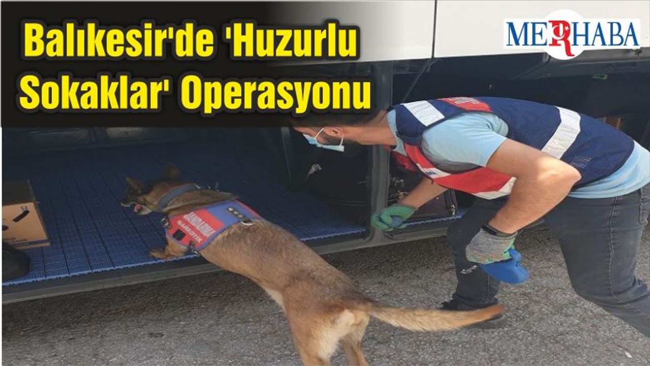 Balıkesir'de 'Huzurlu Sokaklar' Operasyonu