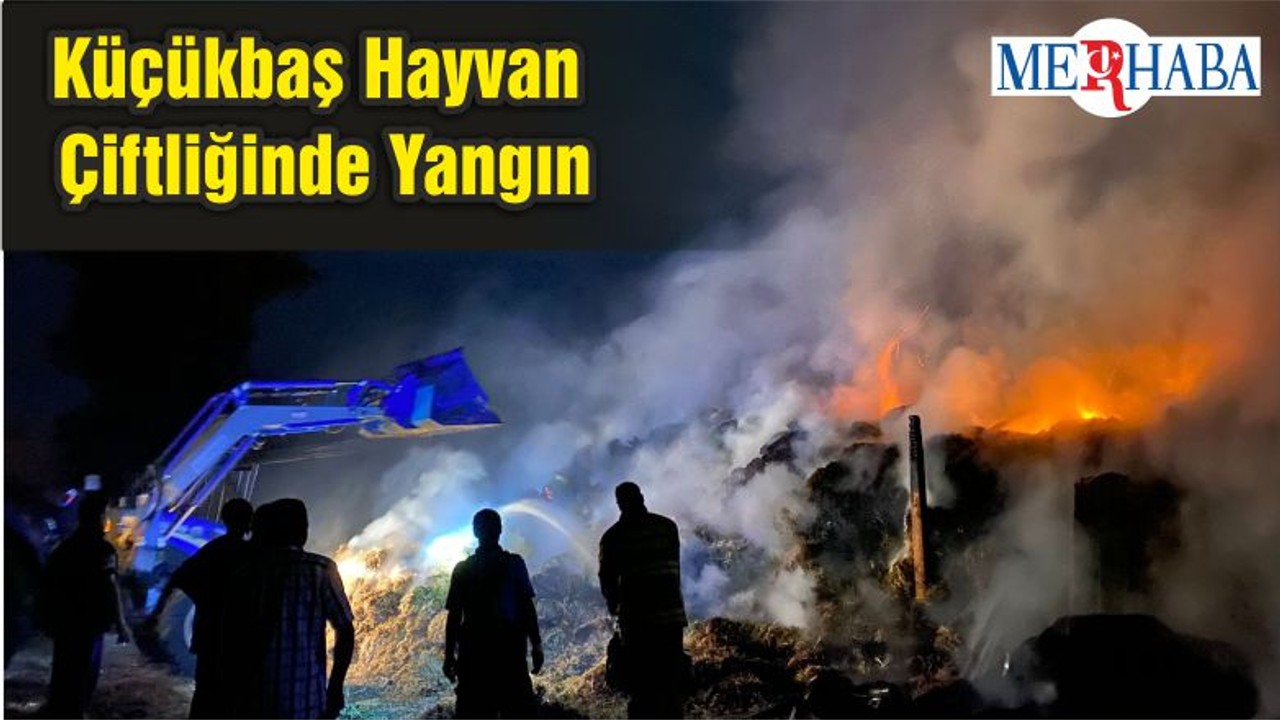 Küçükbaş Hayvan Çiftliğinde Yangın