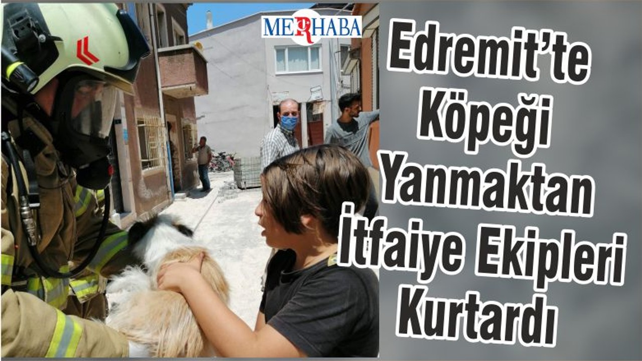 Edremit’te Köpeği Yanmaktan İtfaiye Ekipleri Kurtardı