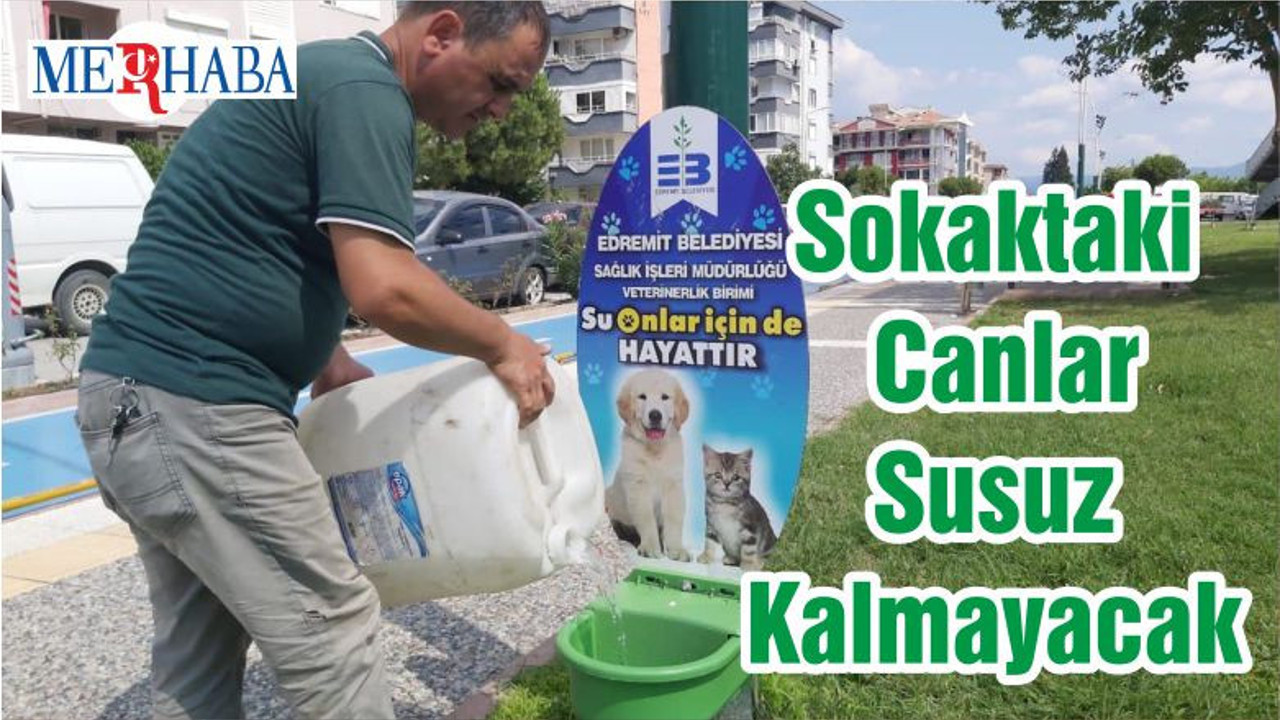 Sokaktaki Canlar Susuz Kalmayacak